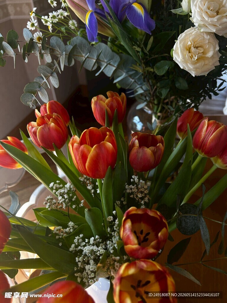 多彩鲜花组合装点美好