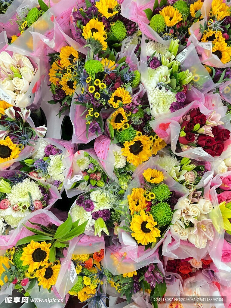 缤纷多彩鲜花大集合
