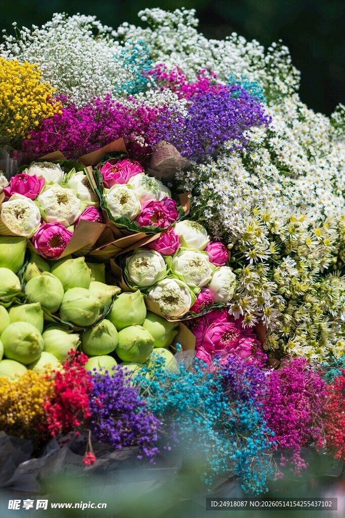 缤纷多彩鲜花组合