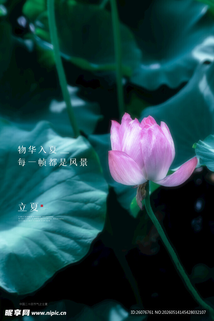 立夏 