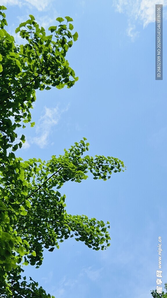 蓝天白云