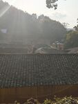 杨家堂