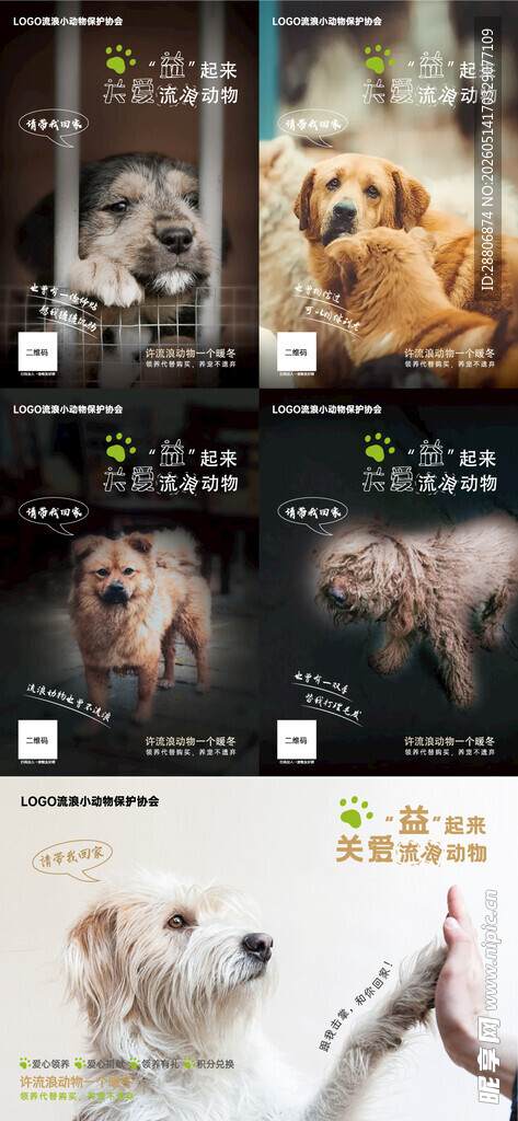 宠物领养活动