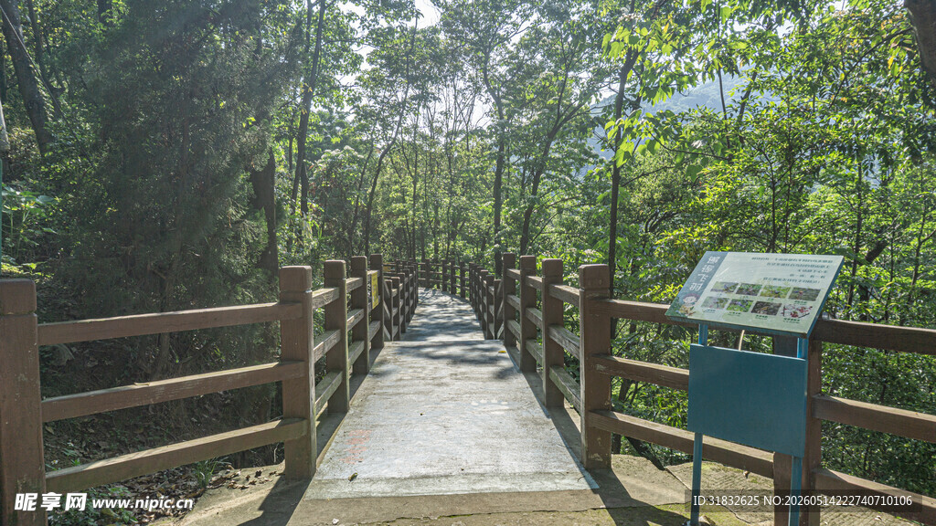 公园林间木栈道