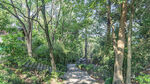 林间幽静小道