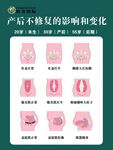 产后不修复的形态变化