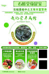 石锅鱼特色美食宣传海报