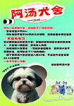宠物犬舍萌宠等你来选
