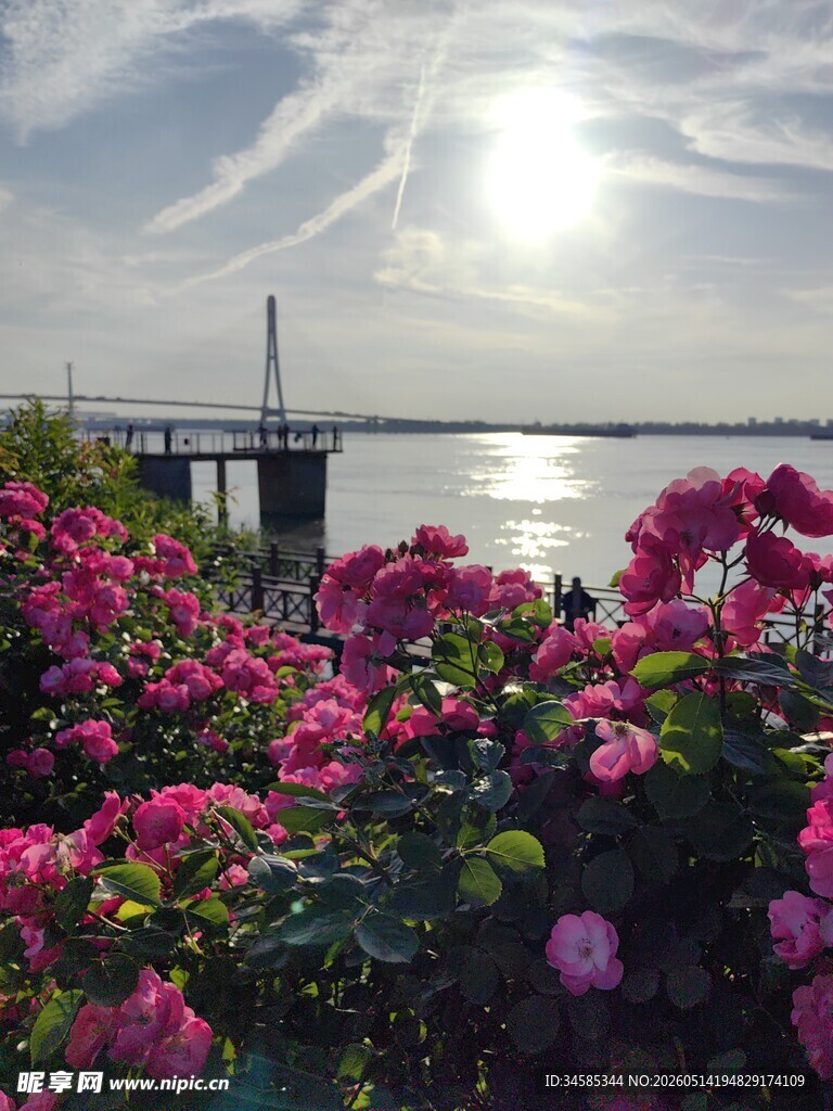 湖畔繁花与远处栈桥美景
