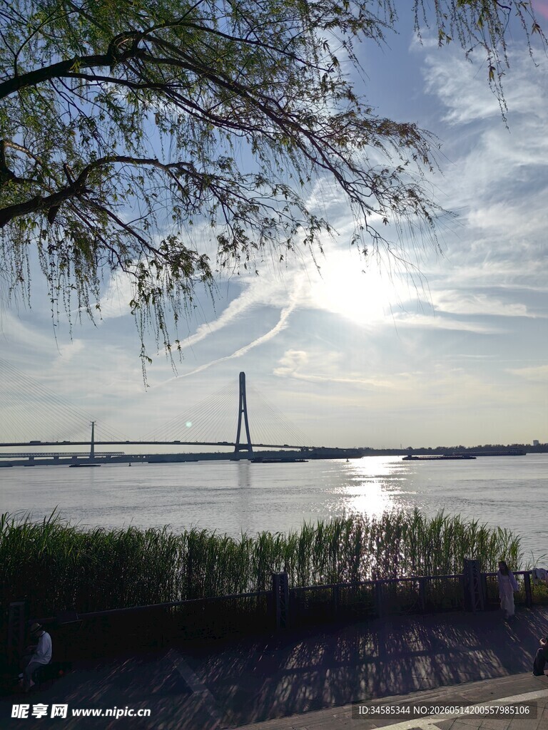 河畔大桥映日光美景