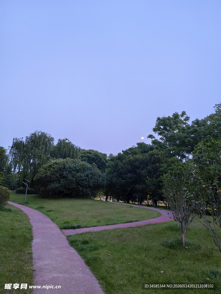 林间小径
