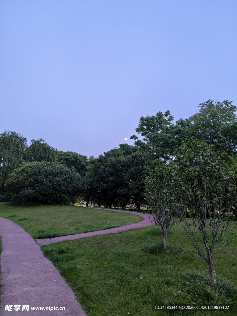 黄昏下的公园小径与绿植