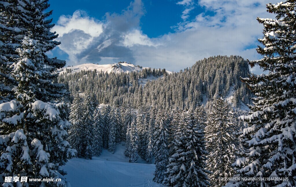 雪覆山林的冬日美景