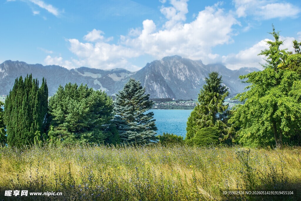 湖畔山林美景
