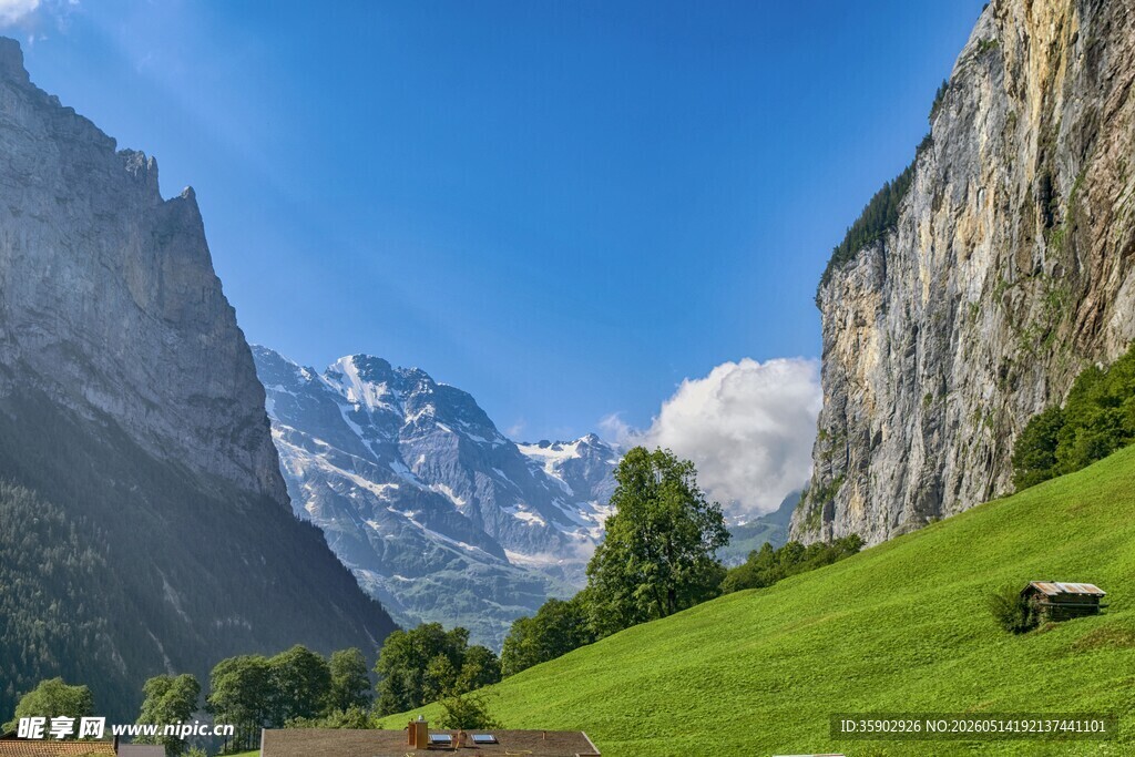 阿尔卑斯山美丽高山草甸景色