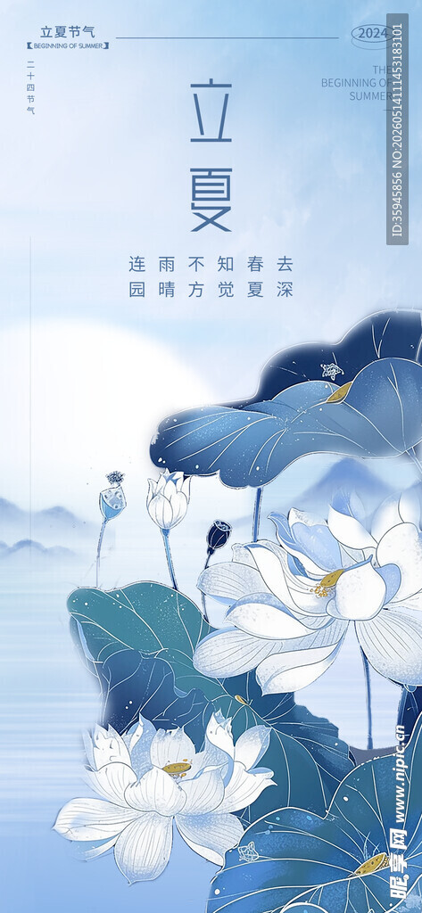 夏日荷花图