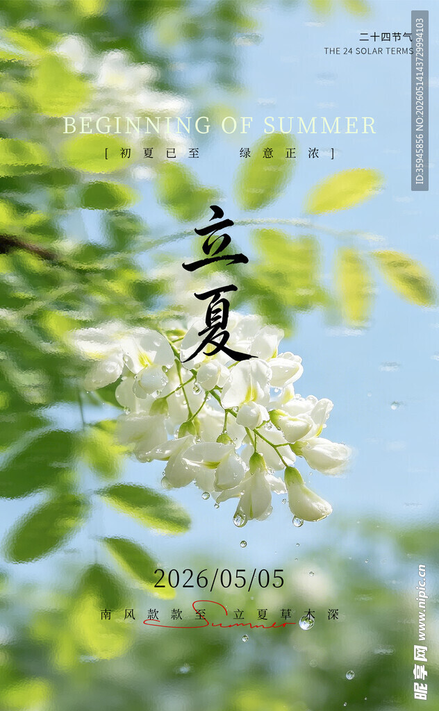 夏日立景  繁花枝头