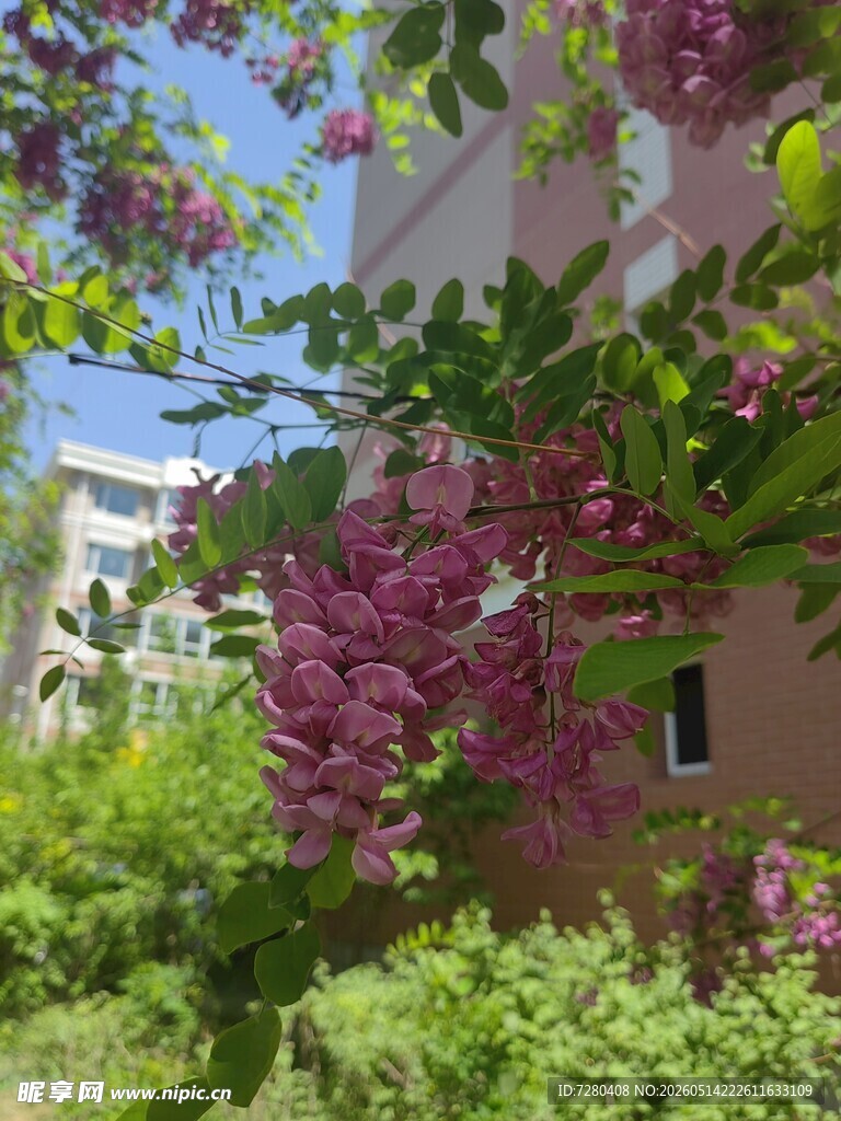 繁花簇拥下的建筑一角