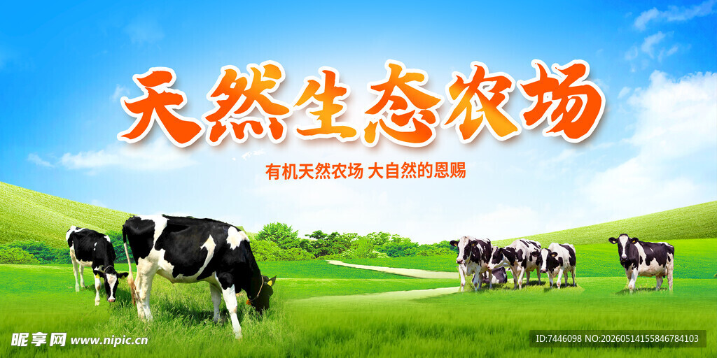 牧场草原奶牛