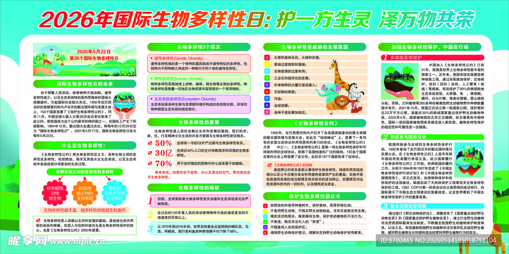 2026年国际生物多样性日展板
