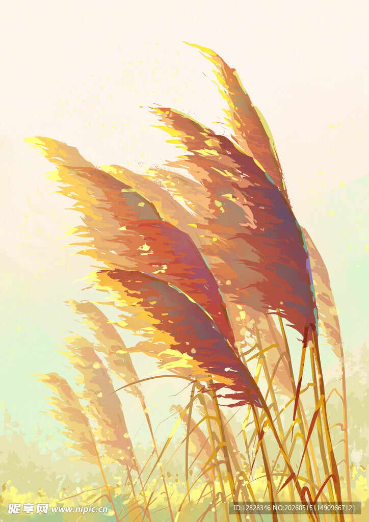 夕阳下的摇曳芦苇