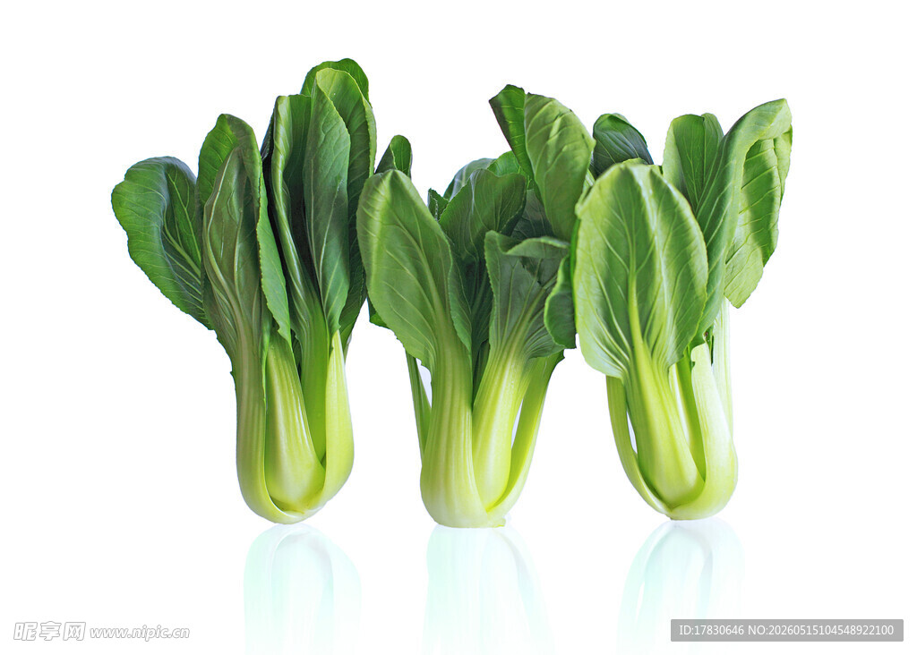新鲜小白菜