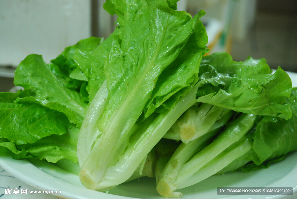 新鲜生菜摆放在白色盘中