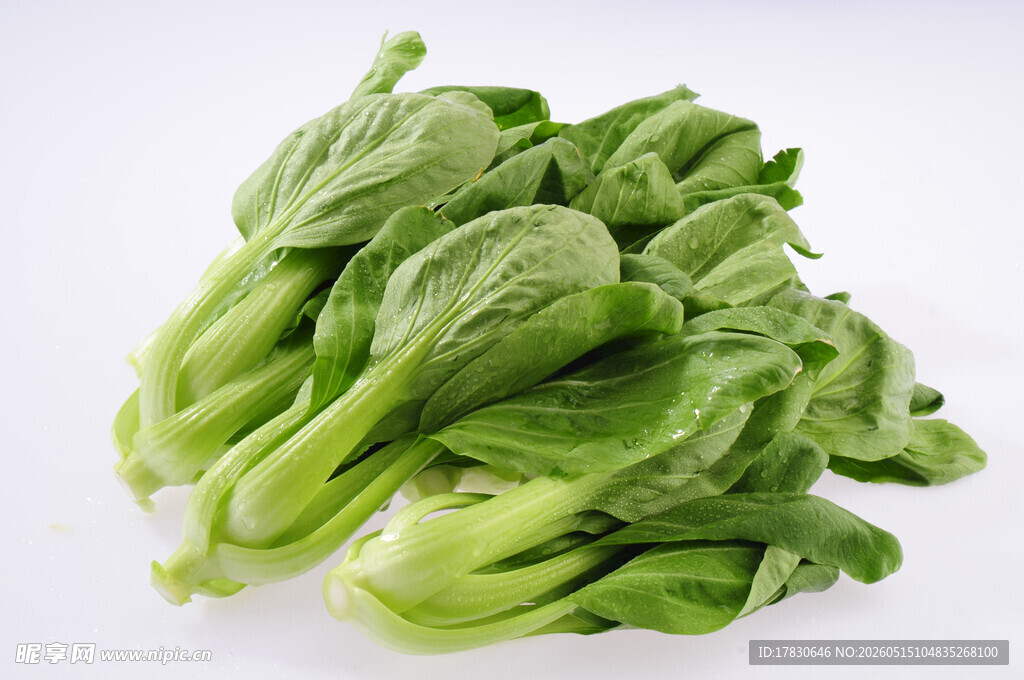 新鲜小白菜堆叠