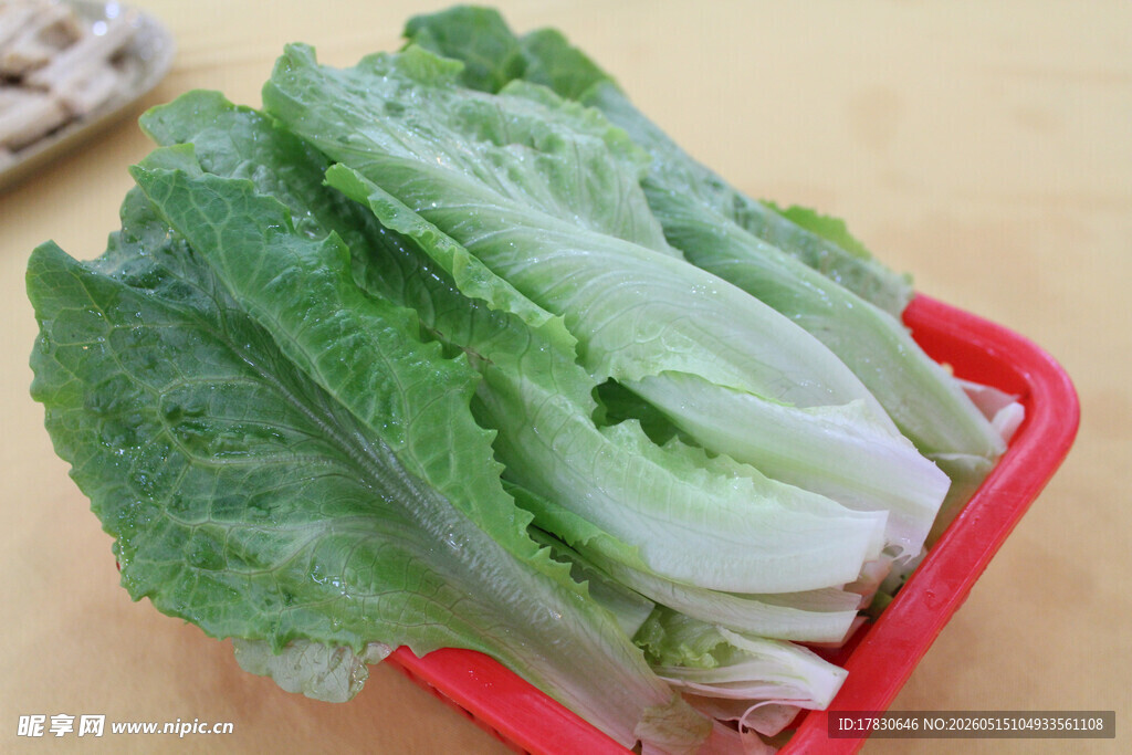 新鲜生菜置于红色容器中