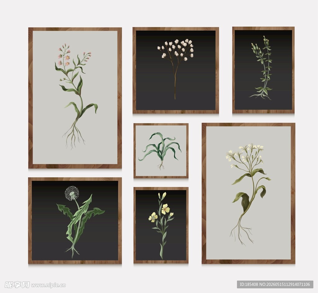 植物装饰挂画