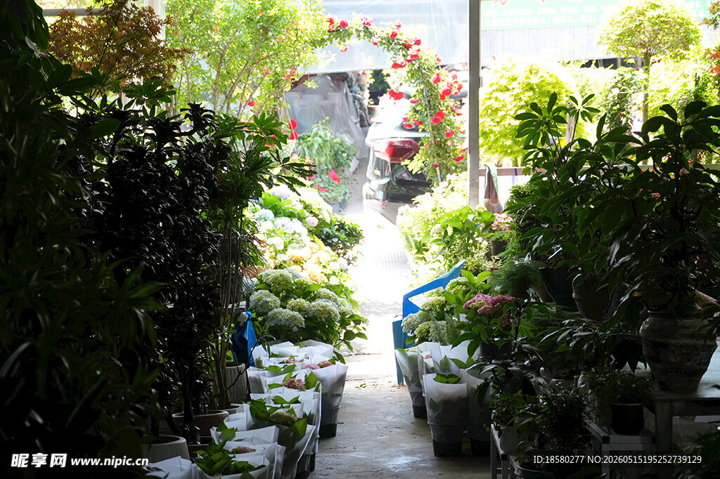 庭院绿植盆栽景观小径