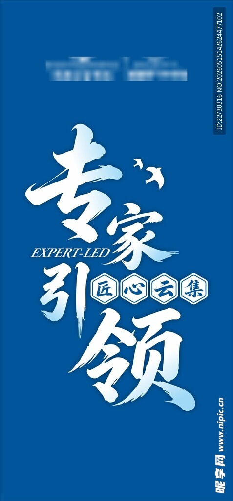 专家引领300问宣传海报