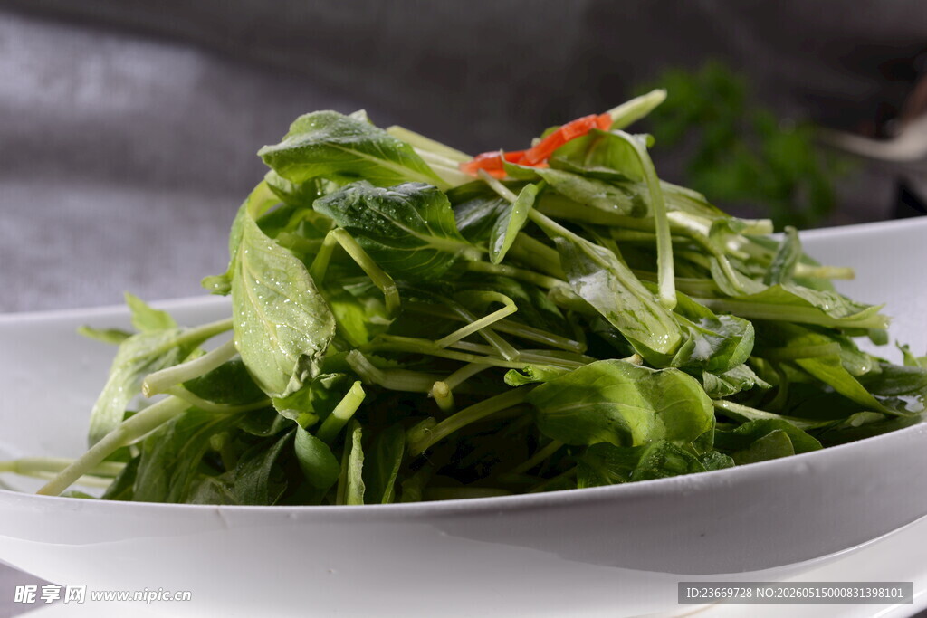 凉拌鸡毛菜