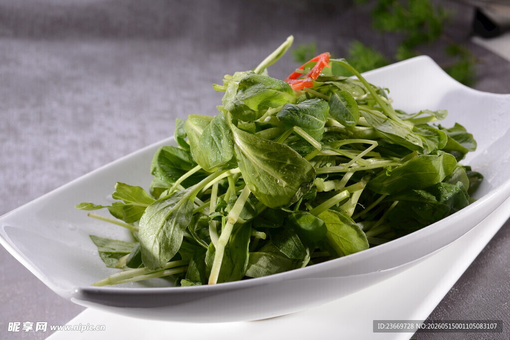 凉拌鸡毛菜