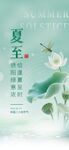 夏至节气 