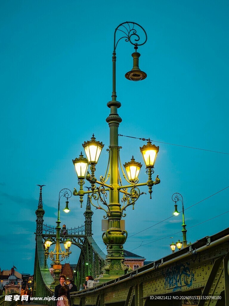 复古路灯点亮迷人夜景