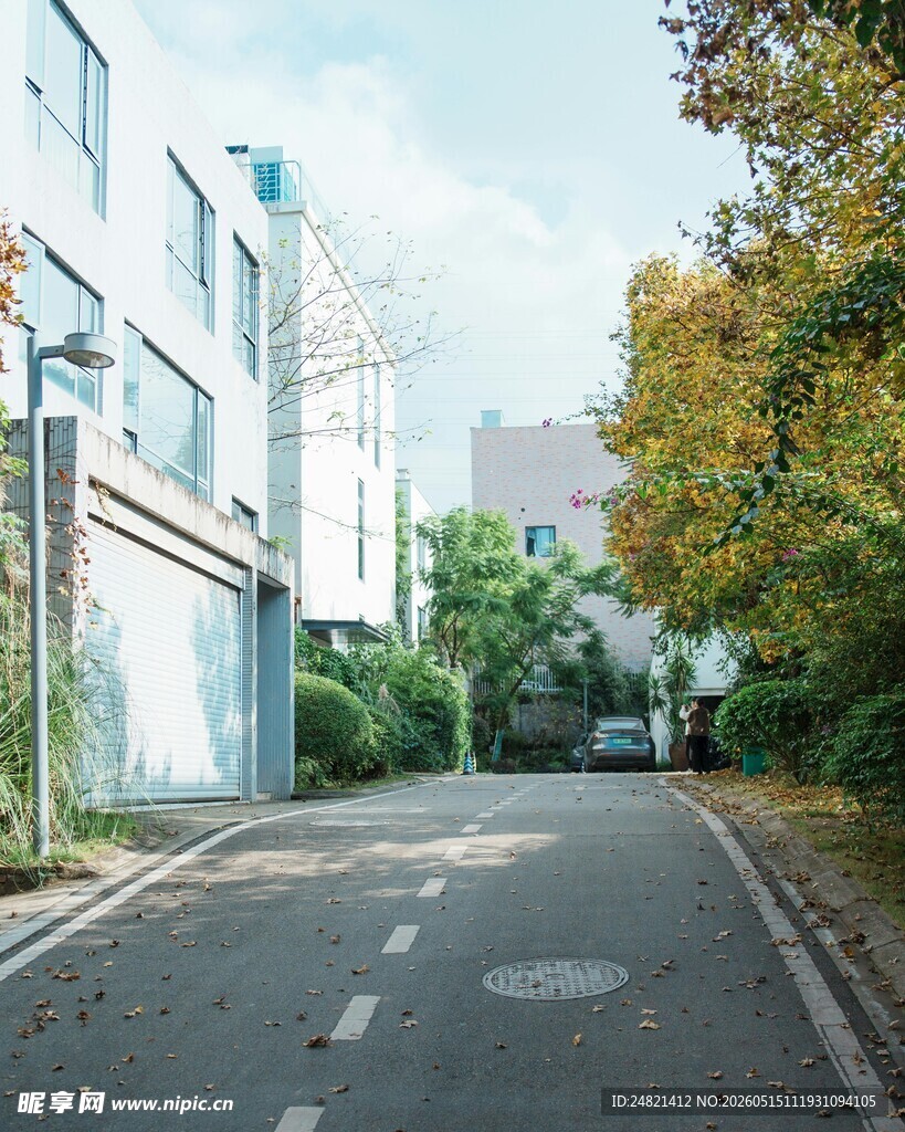 城市中静谧的街道景象
