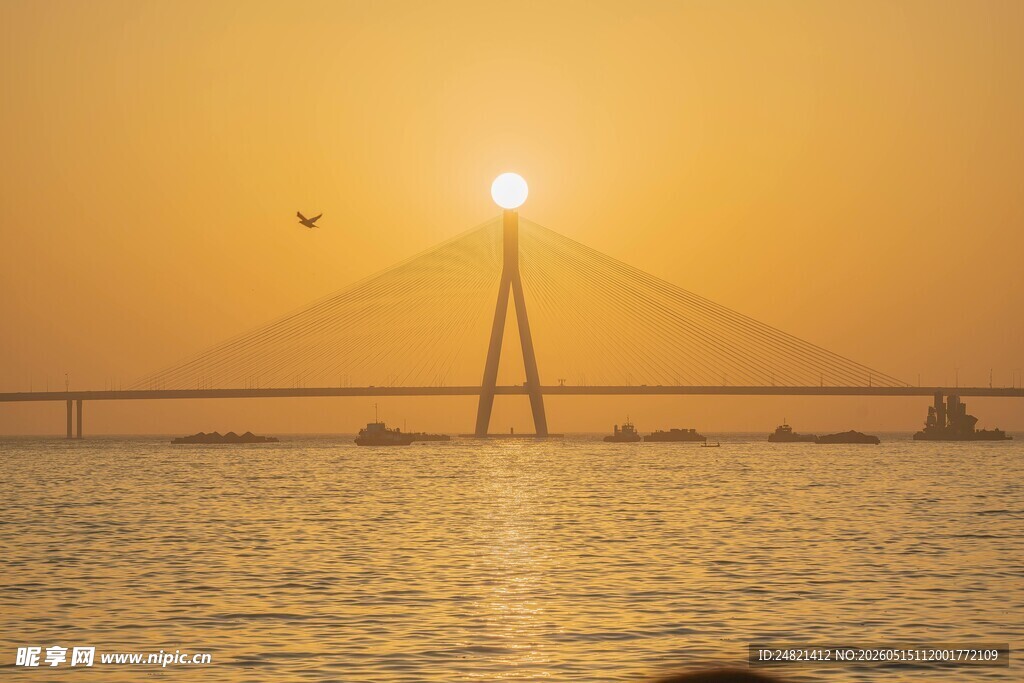 夕阳下的跨海大桥景观