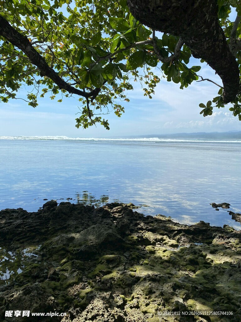 湖畔绿荫下的宁静水域