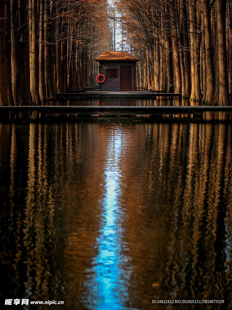 静谧树林中的水畔小屋