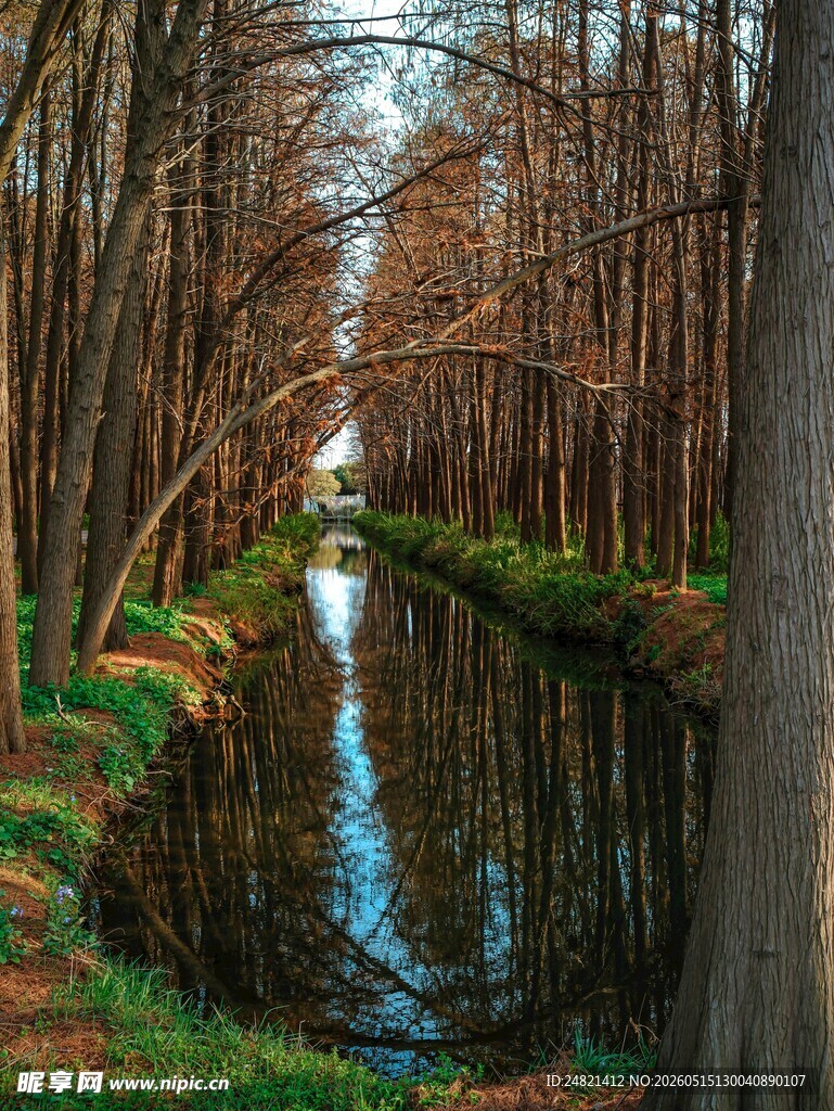 林间河道