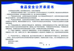 视频安全公开承诺书