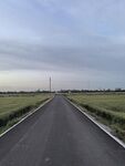乡间公路延伸向远方