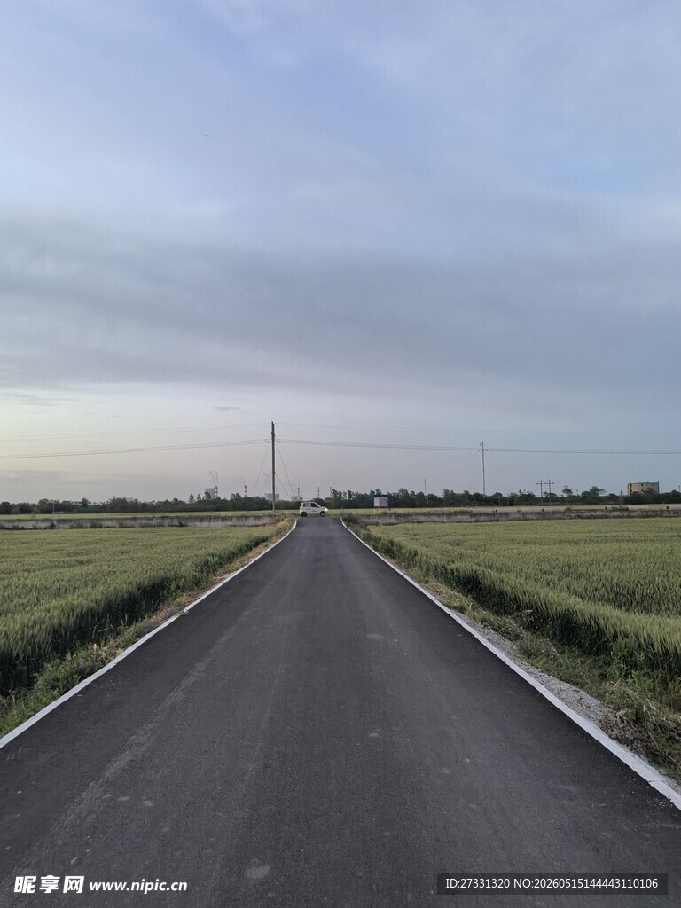乡间公路延伸向远方