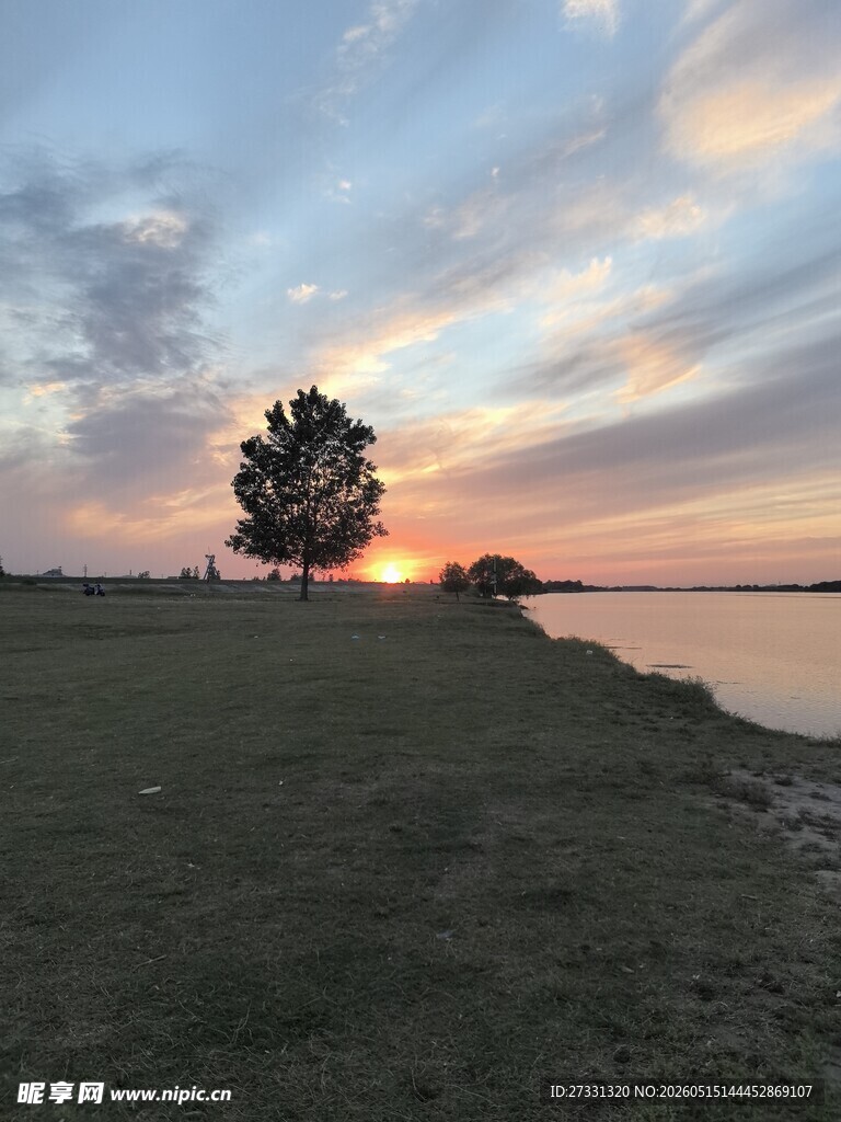 湖畔日落孤树美景