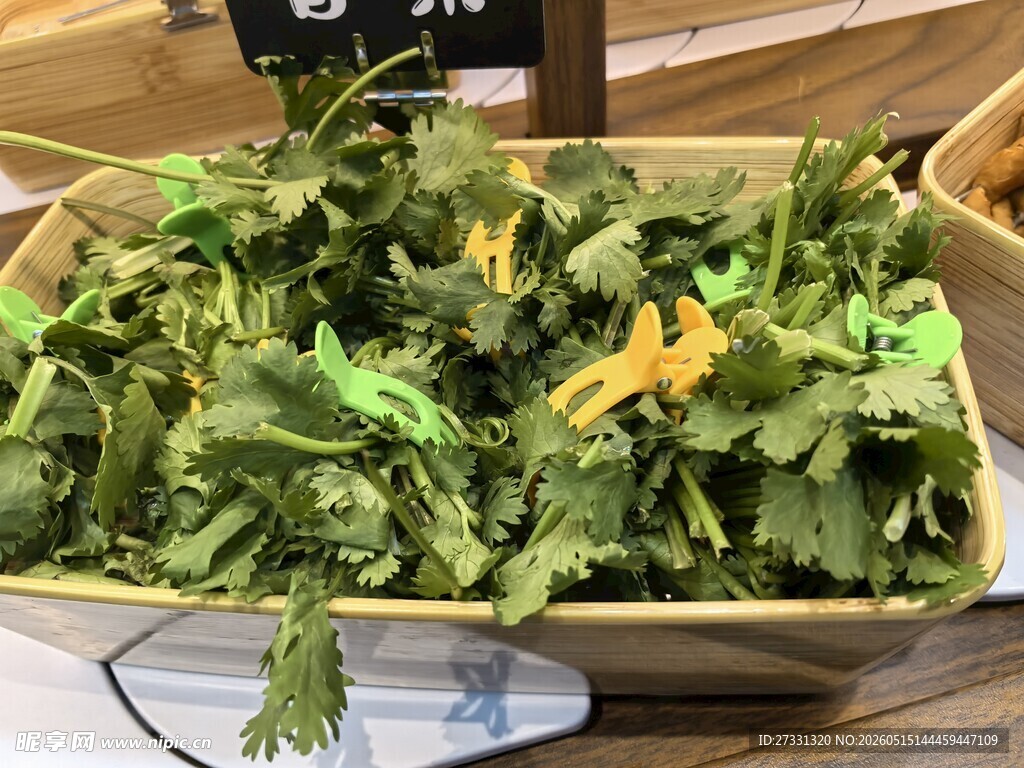 新鲜绿叶蔬菜待售
