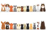 卡通猫狗排排站