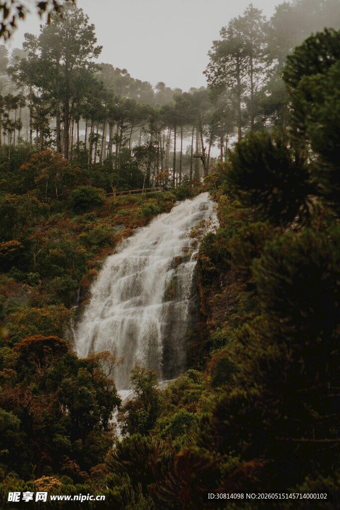 山林间的壮丽瀑布景观