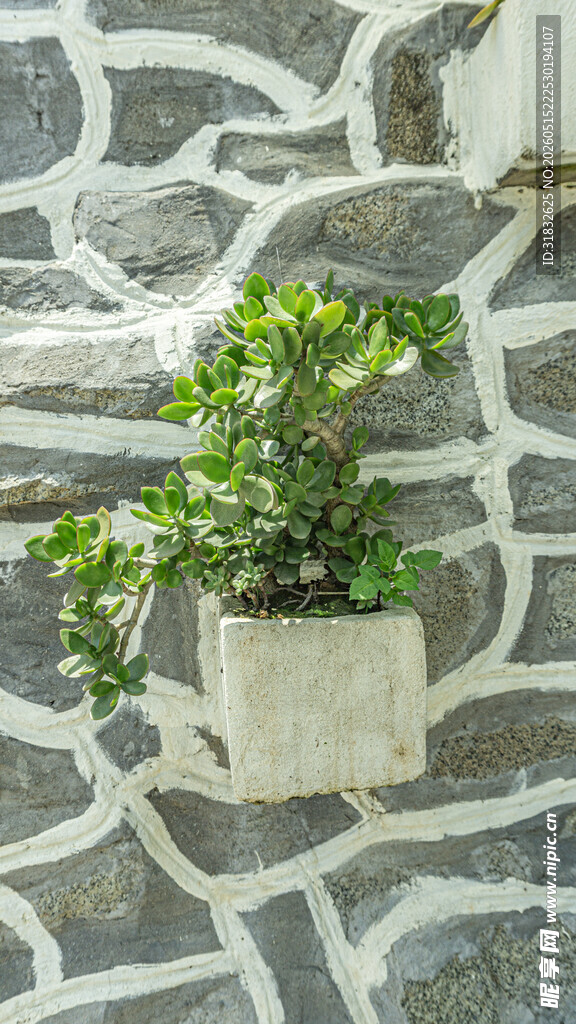 石墙绿植盆栽装饰景观