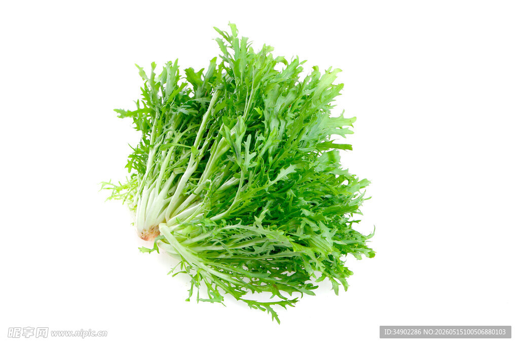 新鲜茼蒿菜